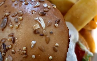 IMG_20221101_120044 IMG_20221101_120044